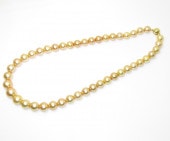 οͥå쥹ʥȥ꡼ȥɡ