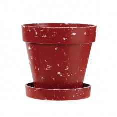 �������åץޡ��֥�ݥå�&��������3.5�� �֥饦��(���åȡ�12)