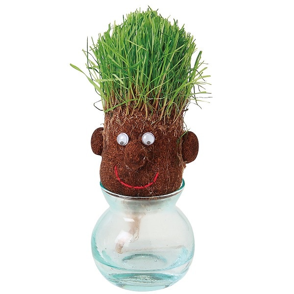 hair LABO スマート（ロット:12） | 栽培セット | | Do! earth & green