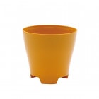 Plastia �ե��ݥå� ���11 �ϥˡ� �ʥ��åȡ�12��