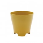 Plastia �ե��ݥå� ���11 ���꡼�֡ʥ��åȡ�12��