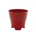 Plastia �ե��ݥå� ���11 ��å� �ʥ��åȡ�12��