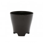 Plastia �ե��ݥå� ���11 ���졼�ʥ��åȡ�12��