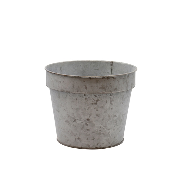 たか　ブリキシャビーシック プランター＋ラビット2点 ブリキプランターM（ロット：4） | すべての商品 | | Do! earth & green