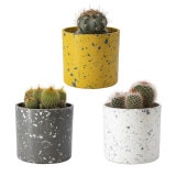 ܥƥ󥢥 åץޡ֥ݥåS3C(å:6)