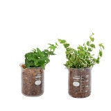 �ϥ��ɥ����꡼�� HARIO S�ʥ��åȡ�15��