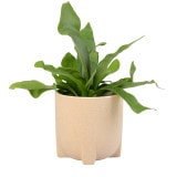 ���ȡ���ݥå�13 ����ɡʥ��åȡ�6��