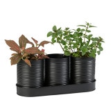 ֥ꥭ9.5 3P ֥åʥåȡ6