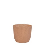 PROSP RYFO�ݥå�11 �ʥ�����ʥ��åȡ�8��