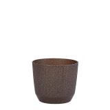 PROSP RYFO�ݥå�11 �����ҡ��ʥ��åȡ�8��