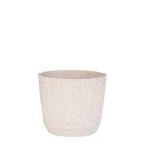 PROSP RYFO�ݥå�15 �ۥ磻�ȡʥ��åȡ�6��