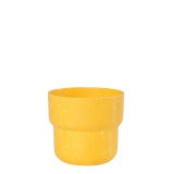 �������å� �ڥ��󥿡��ݥå�10 ���������ʥ��åȡ�10��