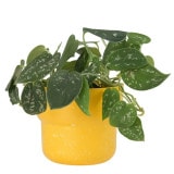 �������å� �ڥ��󥿡��ݥå�14 ���������ʥ��åȡ�6��