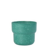 �������å� �ڥ��󥿡��ݥå�14 ���꡼��ʥ��åȡ�6��