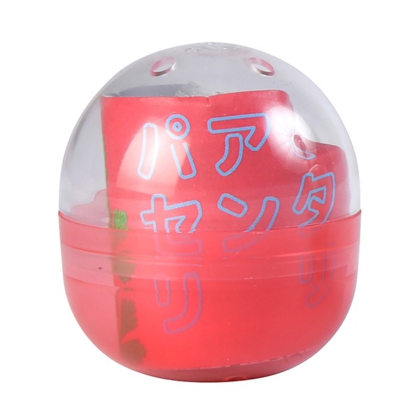 香りハーブの栽培カプセル イタリアンパセリ（ロット：30） | 栽培