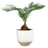 �ܥ���13 �ۥ磻�ȡʥ��åȡ�4��