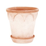 BP ꥶ٥18 ʥʥåȡ2