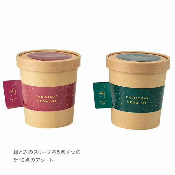 クリスマス栽培キット 2C（ロット：10） | すべての商品 | | Do! earth