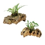 �������å� �ϥ󥮥󥰥��륯�ʥ��åȡ�15��