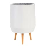 F������38 �����ĥ�10 WHY�ʥ��åȡ�1��