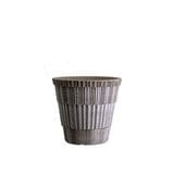 BPȥ饹14 졼ʥåȡ4)