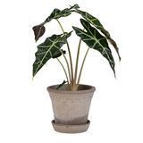 ������ͽ���BP ���ڥ�ϡ�����14 ���졼(���åȡ�4)