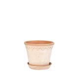 ������ͽ���BP ���ڥ�ϡ�����14 �ʥ�����(���åȡ�4)