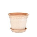 ������ͽ���BP ���ڥ�ϡ�����18 �ʥ�����(���åȡ�2)