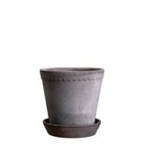 ������ͽ���BP �إ��10 ���졼(���åȡ�6)