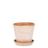 ������ͽ���BP �إ��10 �ʥ�����(���åȡ�6)