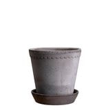 ������ͽ���BP �إ��12 ���졼(���åȡ�6)