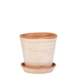 ������ͽ���BP �إ��12 �ʥ�����(���åȡ�6)