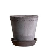 ������ͽ���BP �إ��16 ���졼(���åȡ�4)