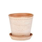 ������ͽ���BP �إ��16 �ʥ�����(���åȡ�4)