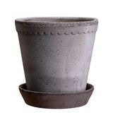 ������ͽ���BP �إ��21 ���졼(���åȡ�2)