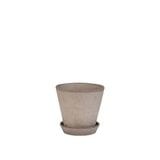 ������ͽ���BP ����꡼12 ���졼(���åȡ�6)