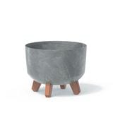 ������ͽ���PROSP GRACIA�ݥå� 24 BT���졼�ʥ��åȡ�4��