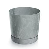 ������ͽ���PROSP TUBO�ݥå� 13 BT���졼�ʥ��åȡ�6��