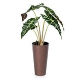 ������ͽ���PROSP TUBUS�����ݥå� 15 ���åѡ�(���åȡ�4)