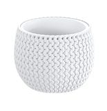 ������ͽ���PROSP SPLOPY�ܥ���ݥå� 18 �ۥ磻��(���åȡ�3)