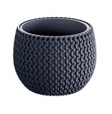 ������ͽ���PROSP SPLOPY�ܥ���ݥå� 18 ����ȥ饷�å�(���åȡ�3)