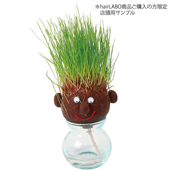 1���åȰʾ头��ʸ�Ը��ꢨ��ŹƬ�ѥ���ץ��hair LABO 1��