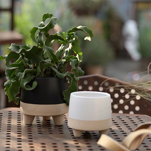 yuyu EARTH BALL W LOTION Green 2箱セット yuyu EARTH BALL W LOTION Green 2箱セット 2025年最新】アース