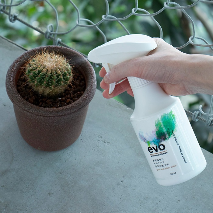 evo ¿����ʪ�ȥ��ܥƥ󤬸����˰�Ŀ� �إåɤʤ��ʥ��åȡ�12��