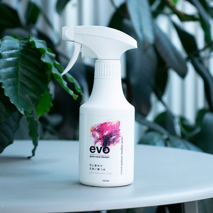 evo �֤����ڤ������˰�Ŀ� 300ml�ʥ��åȡ�12��