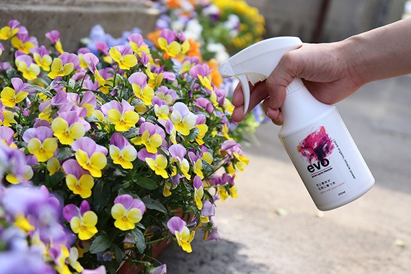 evo �֤����ڤ������˰�Ŀ� 300ml�ʥ��åȡ�12��