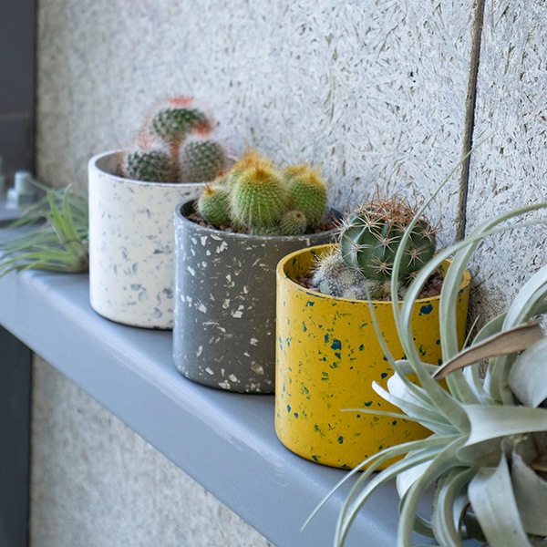 ���ܥƥ󥢥����� �������åץޡ��֥�ݥå�S3C(���å�:6)