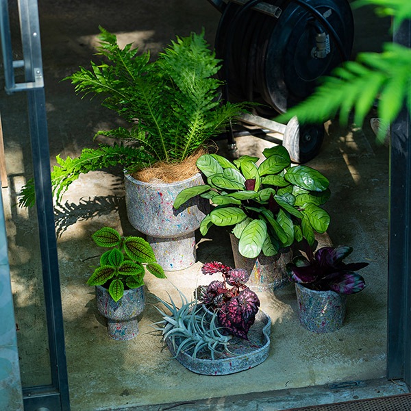 ꥵڡѡݥå16.5ʥåȡ4