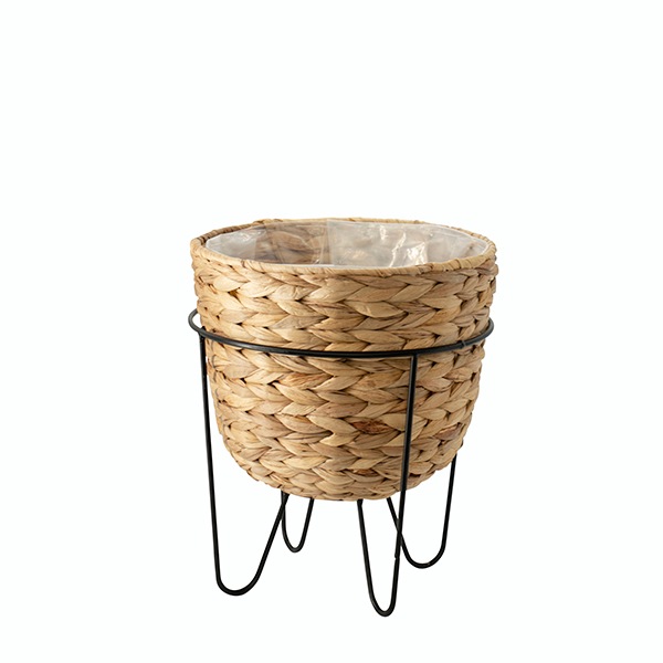 ウォーターヒヤシンスポットUフォルムL（ロット：2） | すべての