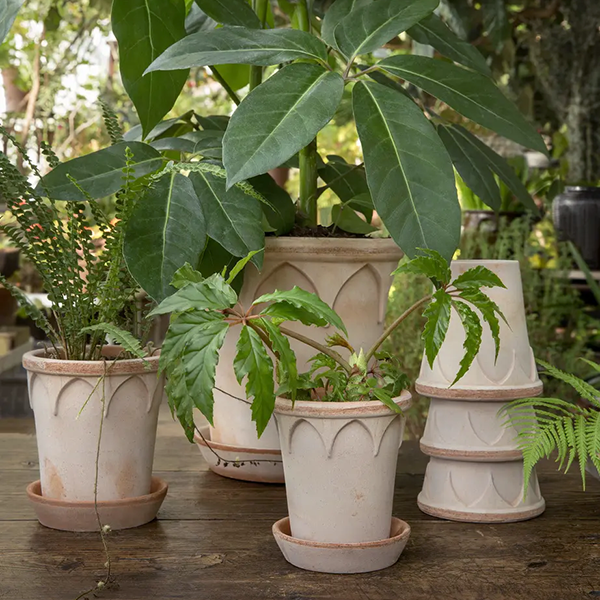 BP ���ꥶ�٥�14 �ʥ�����ʥ��åȡ�4��